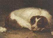 Johann Christoph Rincklake A sporting dog lying down oil painting artist